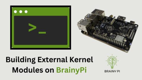 Building externel kernel modules on Brainy pi