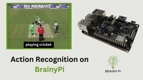 action recognition with brainypi