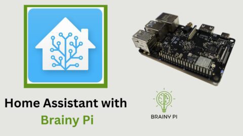 Home Assistant with Brainy Pi